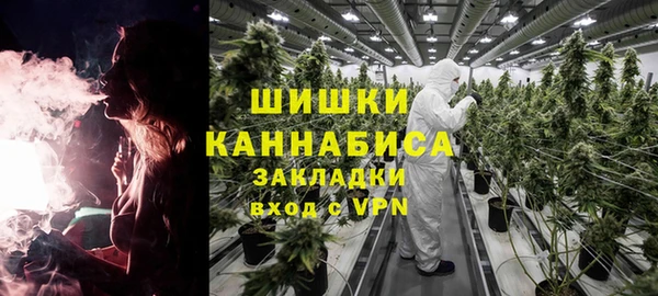 крисы Горнозаводск