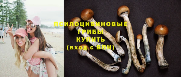 jwh Горняк