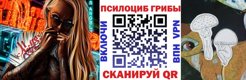 Купить  Магадан  Псилоцибиновые грибы прущие грибы 